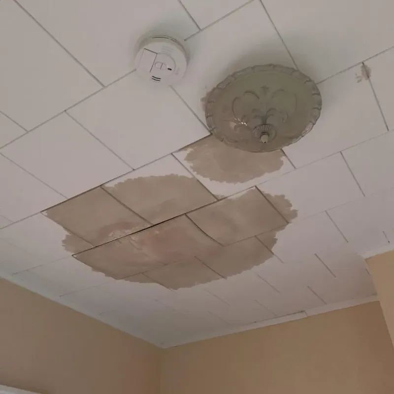 Ceiling Water Damage Repair in Odenville, AL
