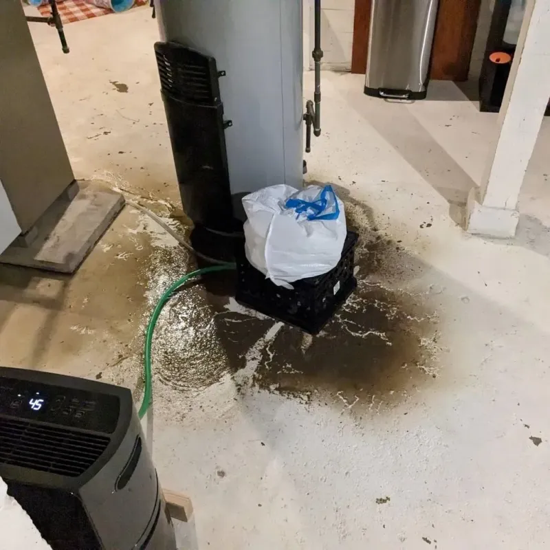 Sewage Backup Cleanup Service in Odenville, AL